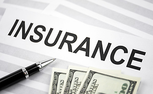 January 2022 Insurance Update: Reviewing End-of-2021 Decisions Dismissing Policyholder Coverage Suits for COVID-19 Losses