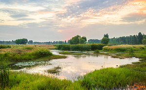 Supreme Court Wetlands Ruling - Better For Business