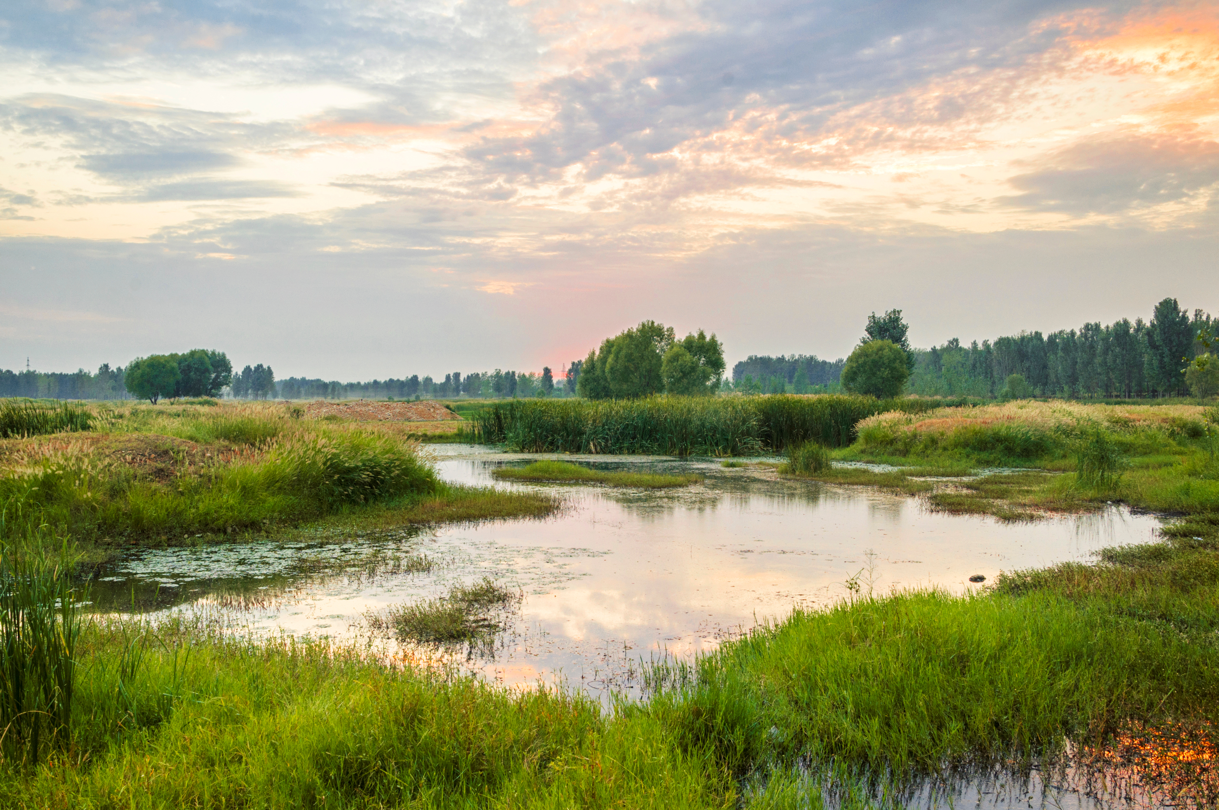 The Fight Over Federal Jurisdiction Continues - U.S. Supreme Court Hears Arguments Seeking to Limit Jurisdiction Over Wetlands