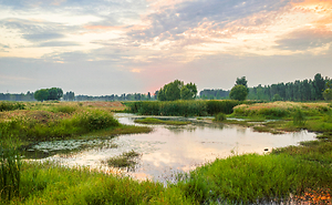 The Fight Over Federal Jurisdiction Continues - U.S. Supreme Court Hears Arguments Seeking to Limit Jurisdiction Over Wetlands